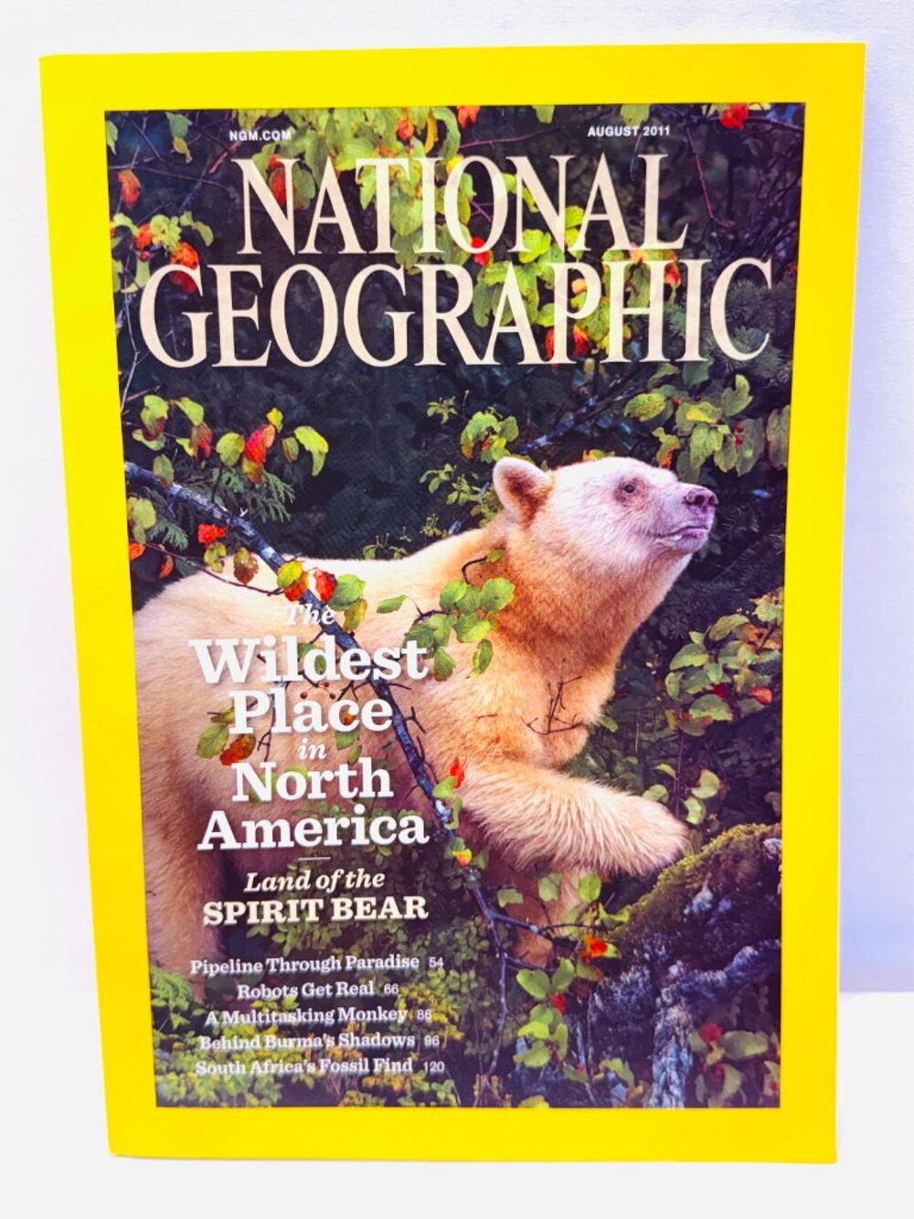 Vintage 2011 National Geographic Magazine Complete Lot of 6 July-December 2011 - Picture 3 of 9